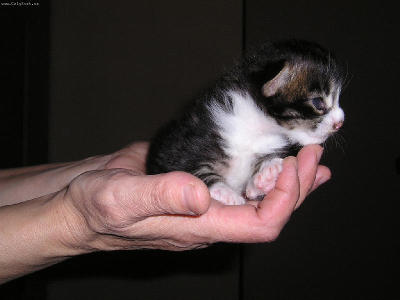 Foto: A to m�m m�t 10 kilo !!!