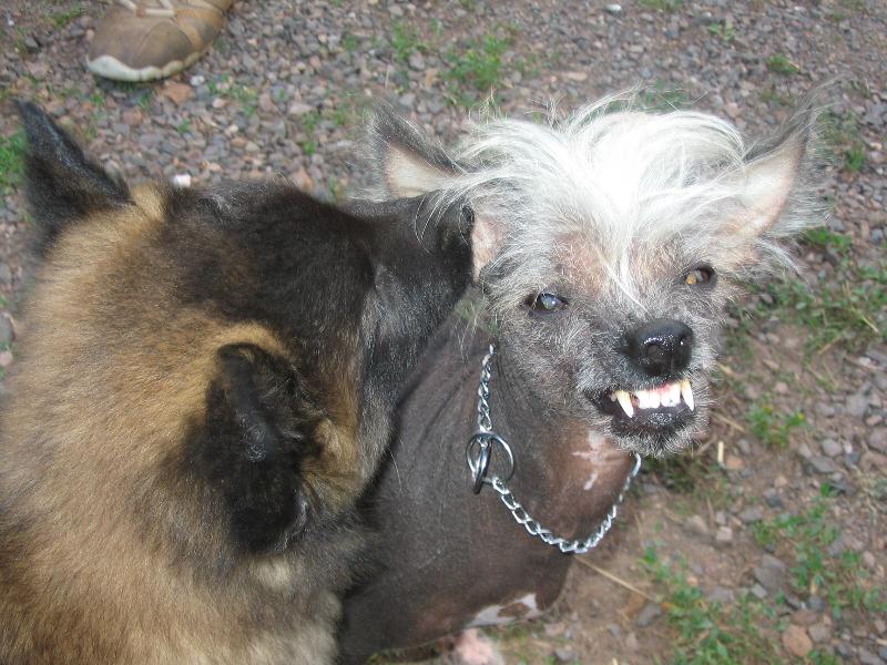 Foto: Jim u� m� mal�ch terv�k� pln� zuby :-))