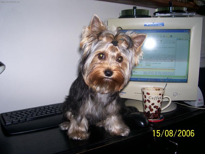 Foto: To m�m kukadla....