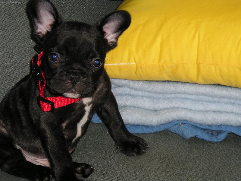 Foto: Le�ek-...kdy� jsem byl je�t� malej kluk...