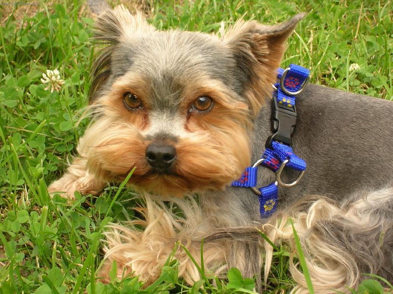 Foto: Artik-..v�let na kole m� tro�ku zmohl