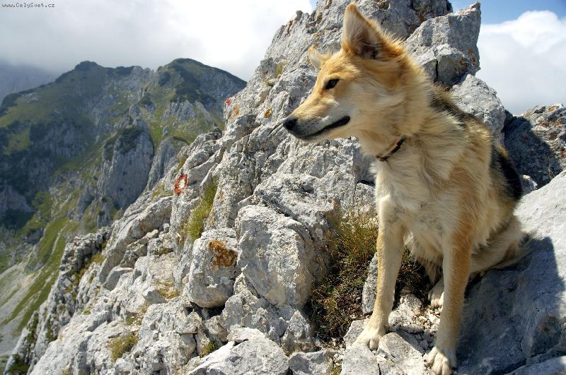 Foto: Durmitor-tul�k