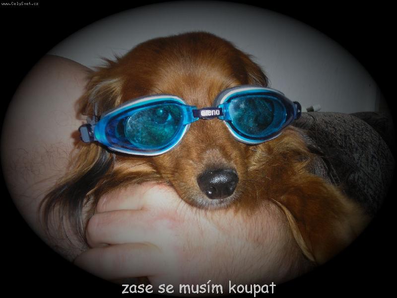 Foto: p�ed koup�n�m-ferda