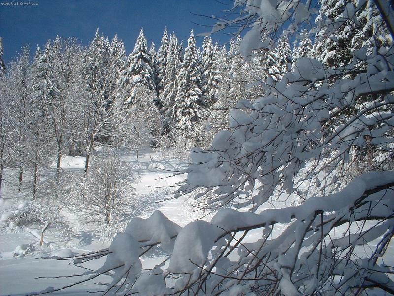 Foto: zima-minuloro�na zima na Slovensku - Makov