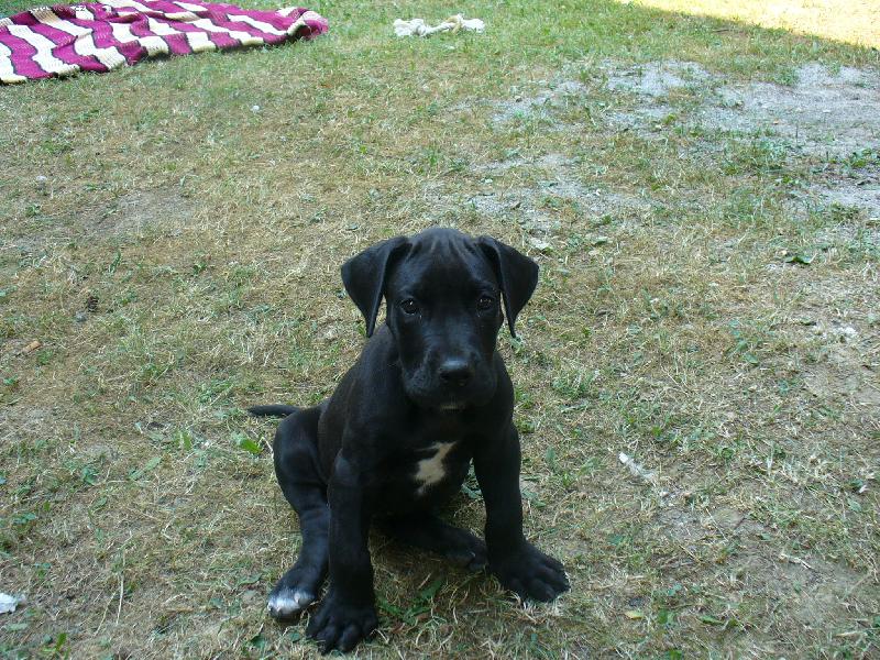 Foto: H�des-Neviniatko