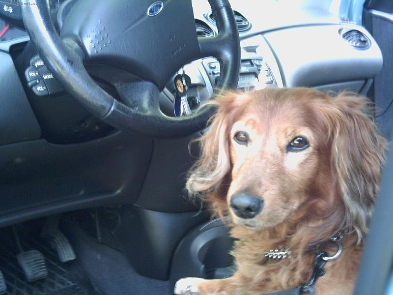 Foto: Te� u� m� neujedou