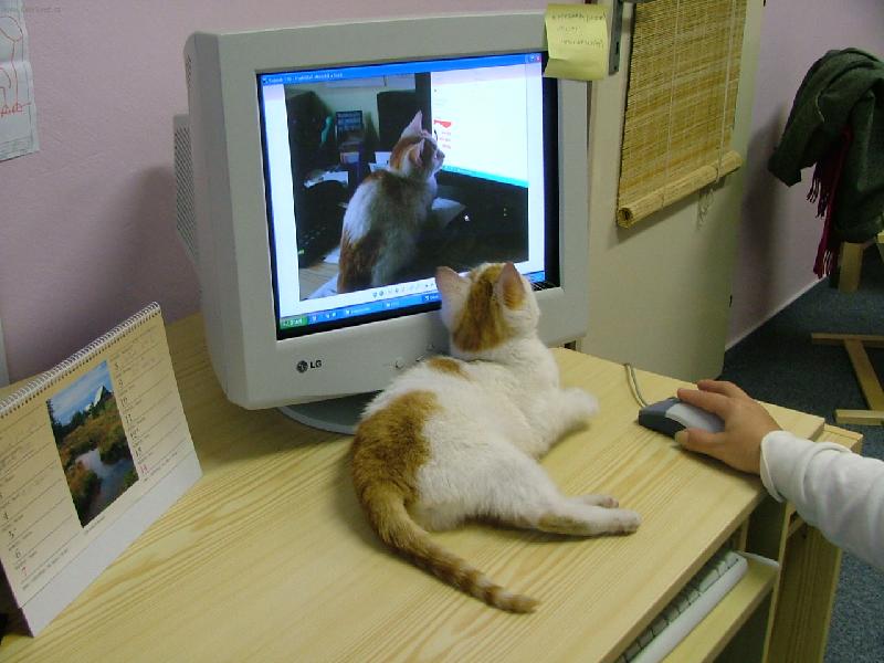 Foto: R�da na sebe kouk�m...