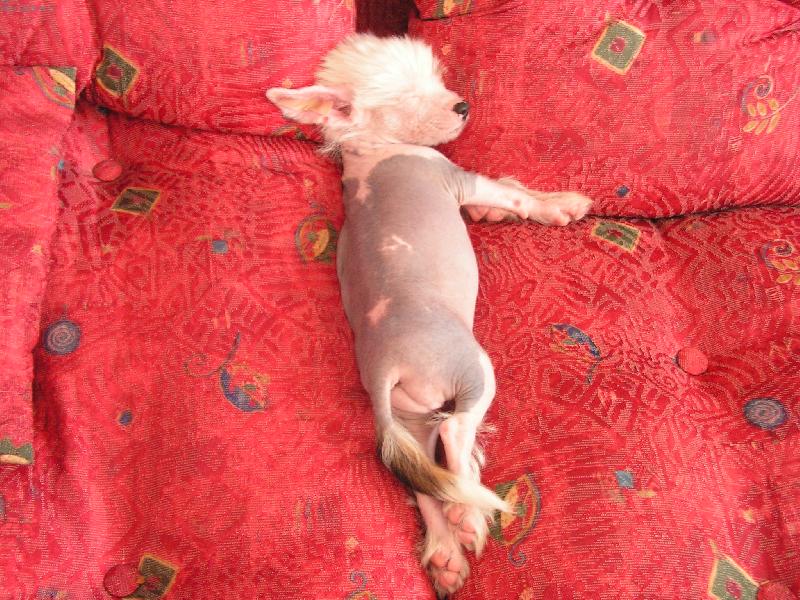 Foto: Ka�enka-hol� �itka