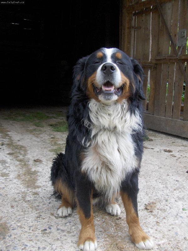 Foto: Sebastian to je pohoda- tak se v�dy sm�ju- Sebastian sm�j�c� se