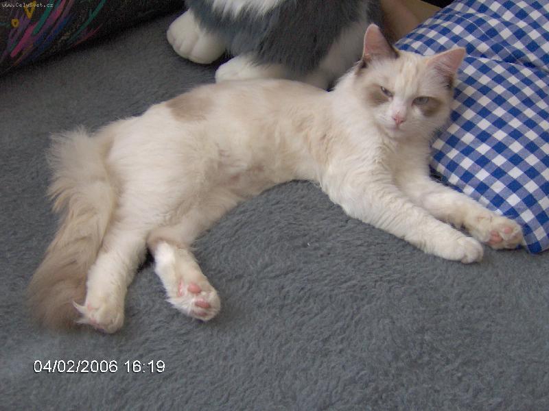 Foto: Meg� d�l� haj�