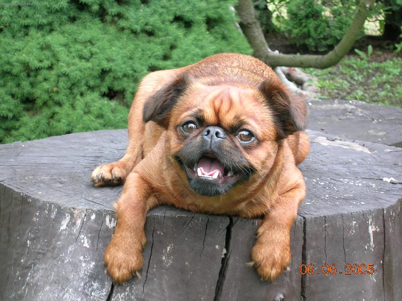 Foto: Pussy-Je to �sm�v hv�zdy ???