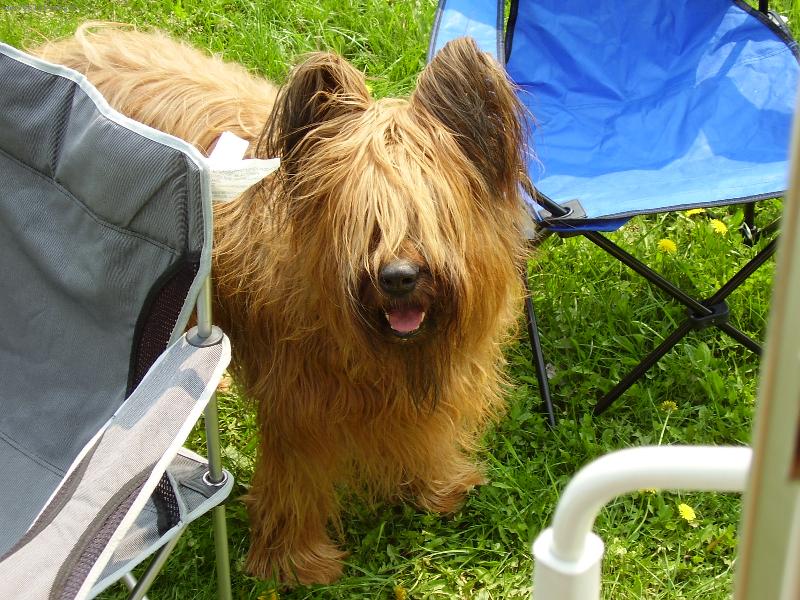 Foto: Hezk� Netyna-KOuk� ne mne