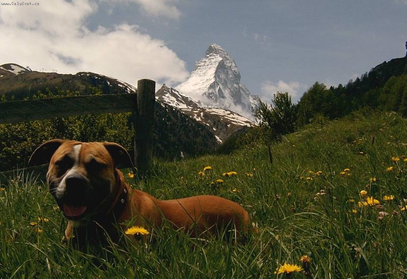 Foto: Ares ve �v�carsku-Ares a Matterhorn