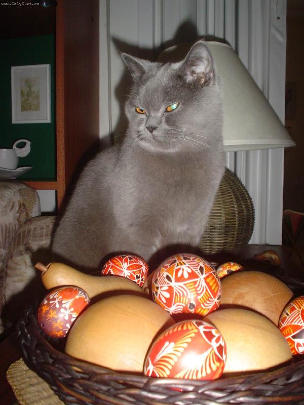 Foto: Na�e Barunka