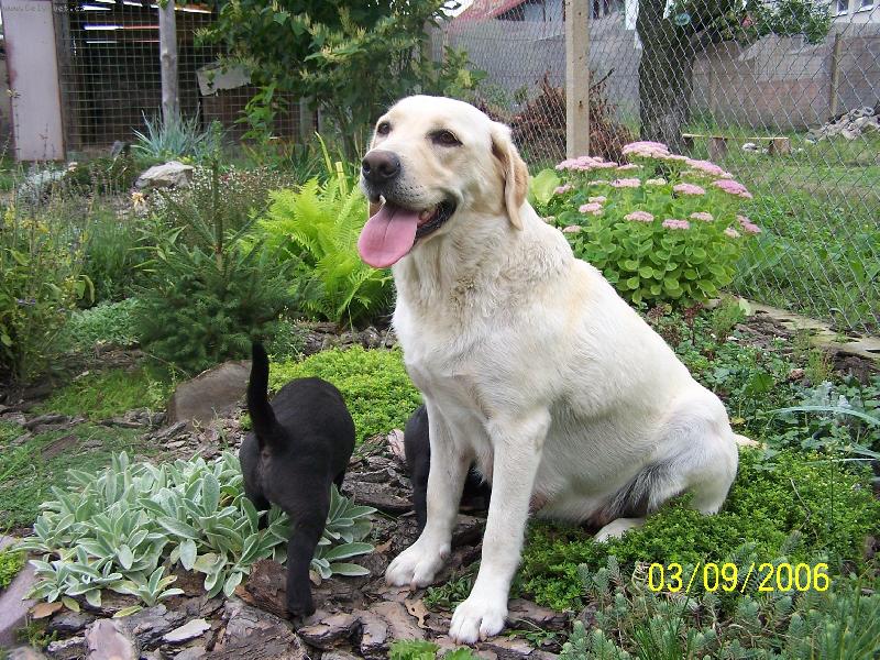 Foto: S m�mou-haf�nci ne a ne post�t, takhle jasn� n�m dala najevo, co si o cel�m fotografov�n� mysl�:)