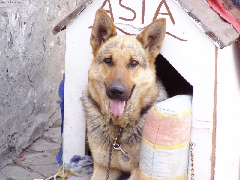 Foto: N� pes obran�� ;o)