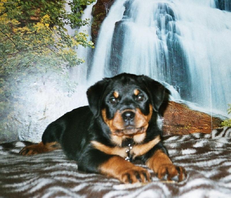 Foto: .. to jsem byla je�t� mal�..-..a mohla jsem do postele