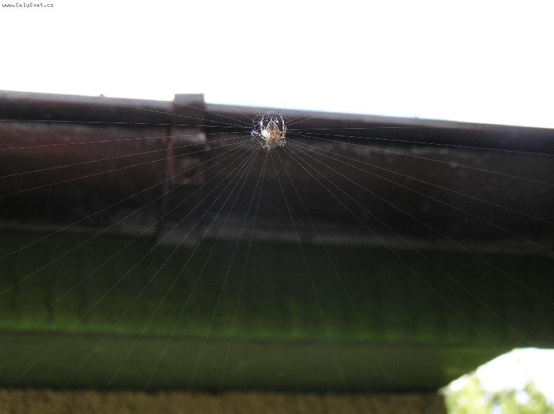 Foto: Rozd�lan� pr�ce