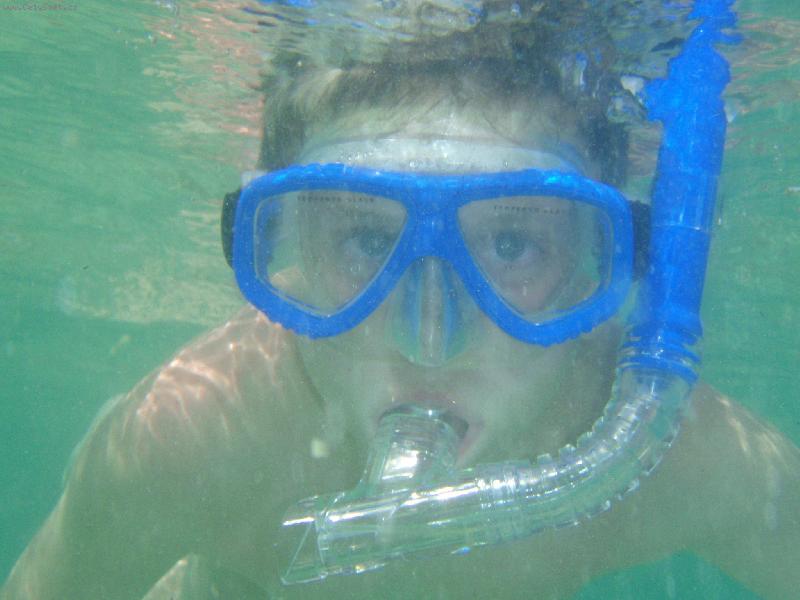 Foto: potap��-Tunis 2006