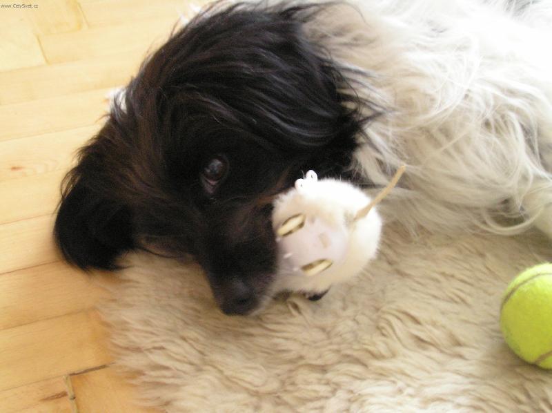 Foto: Mil����ek m�j!!!!-M�ami m�am