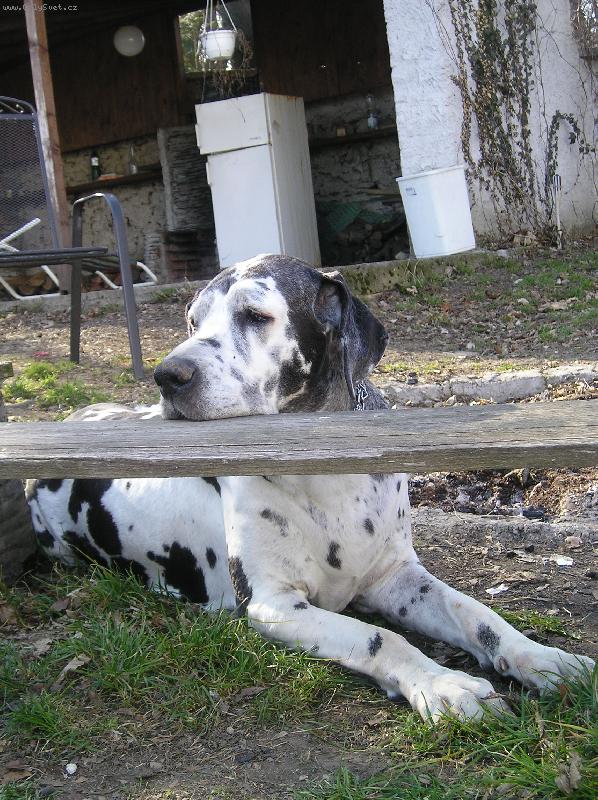 Foto: Veter�nka Jaga 10 let-Veter�nka Jaga 10 let