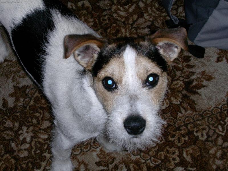 Foto: M�j lump�k-raub����.....