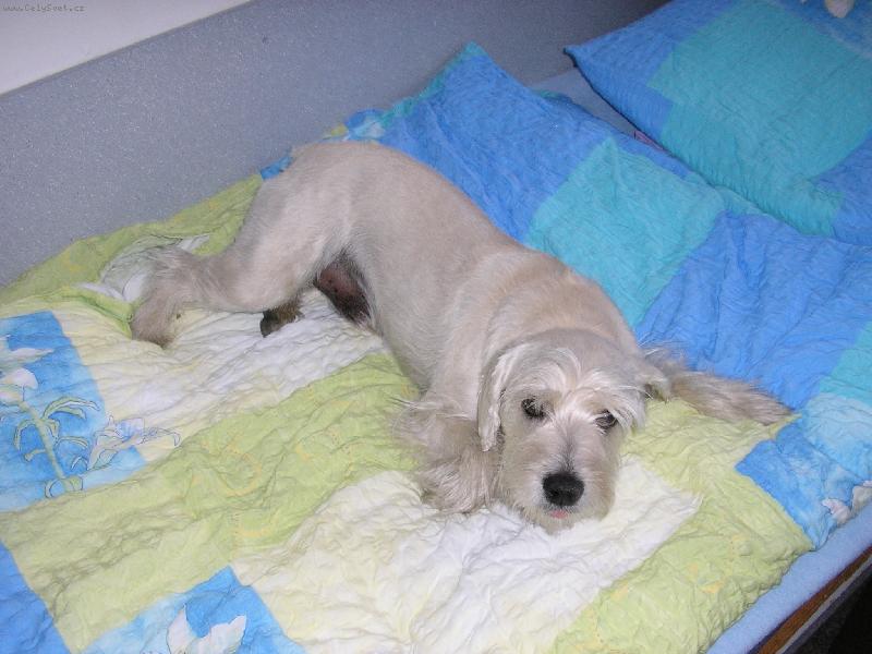 Foto: To se to bude sp�t !