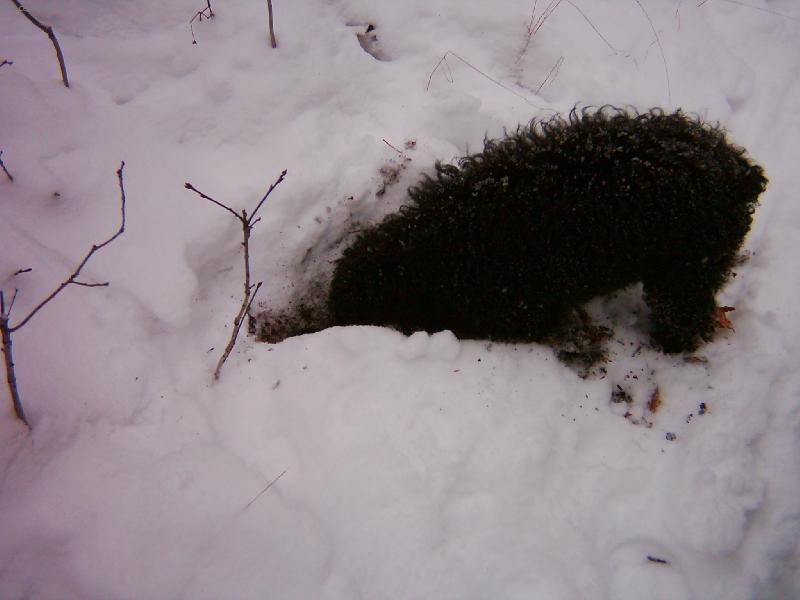 Foto: takle lovim-tak lovi na� Mates my�ky