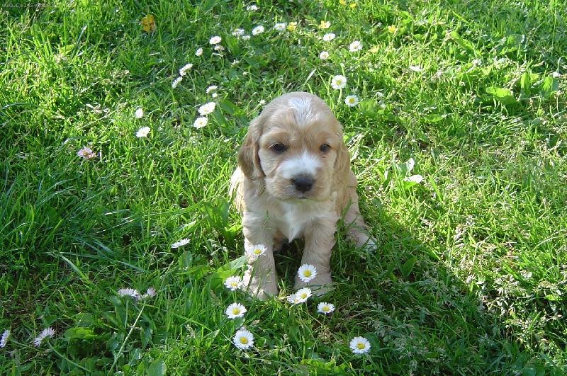 Foto: na tom sv�t� je kr�sn�