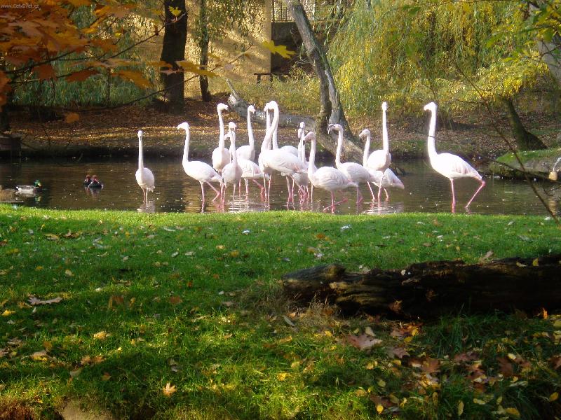 Foto: pohled do pta�� ��e