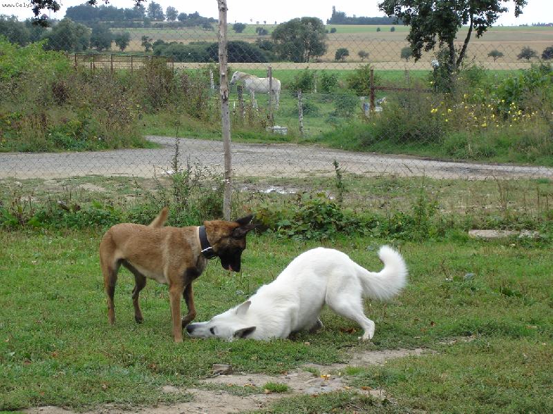 Foto: poj�te pan� budeme si hr�t