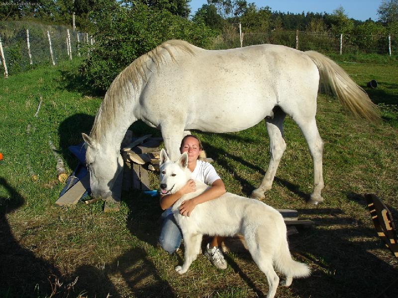 Foto: b�l� kamar�di