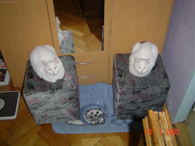 Foto: Jako p�es kop�r�k-Kamar�di do de�t�