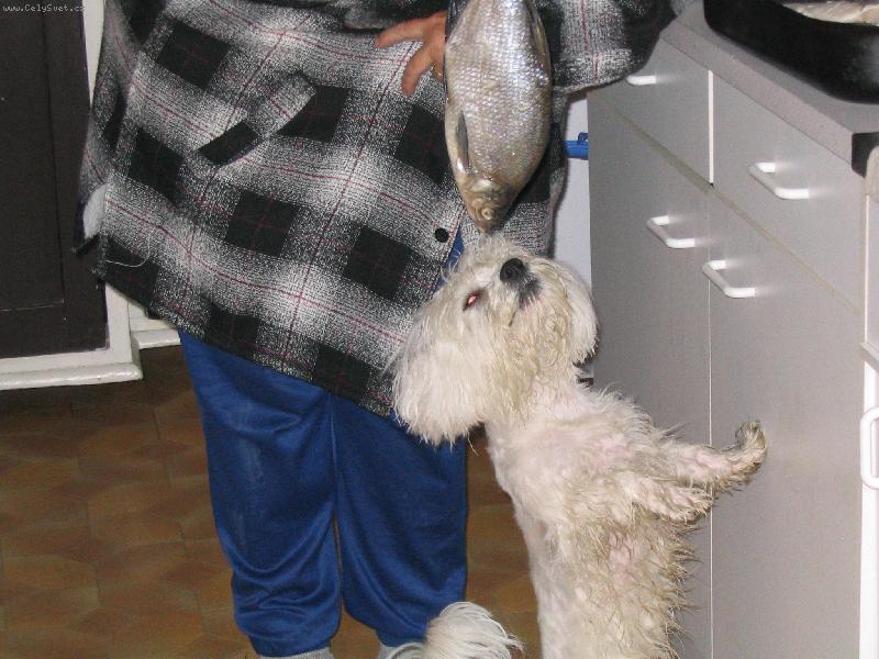 Foto: lacky-to je moje ve�e�e