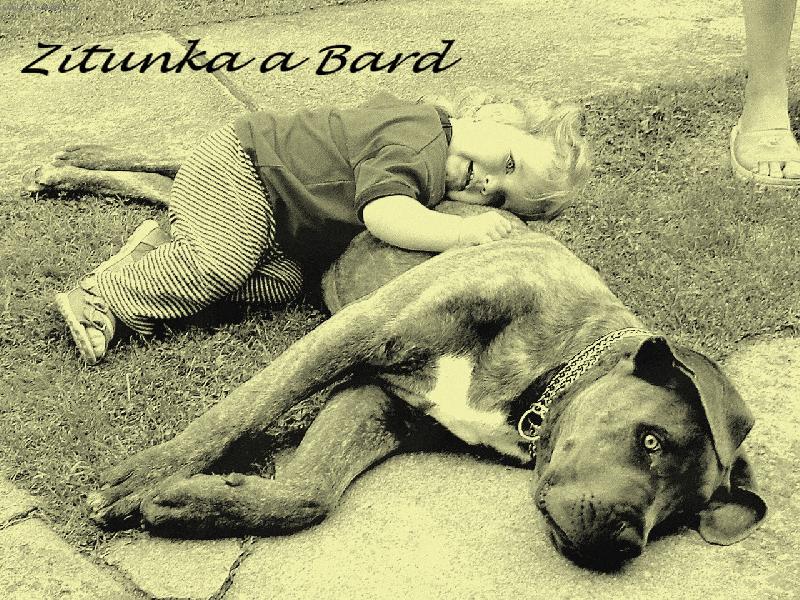 Foto: Dva mil��ci