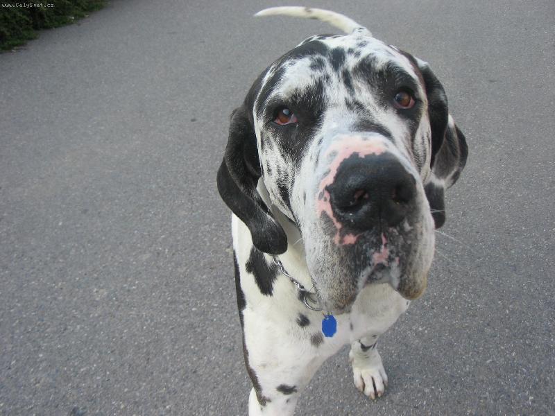 Foto: barou�ek-hezkej kuku�:-))