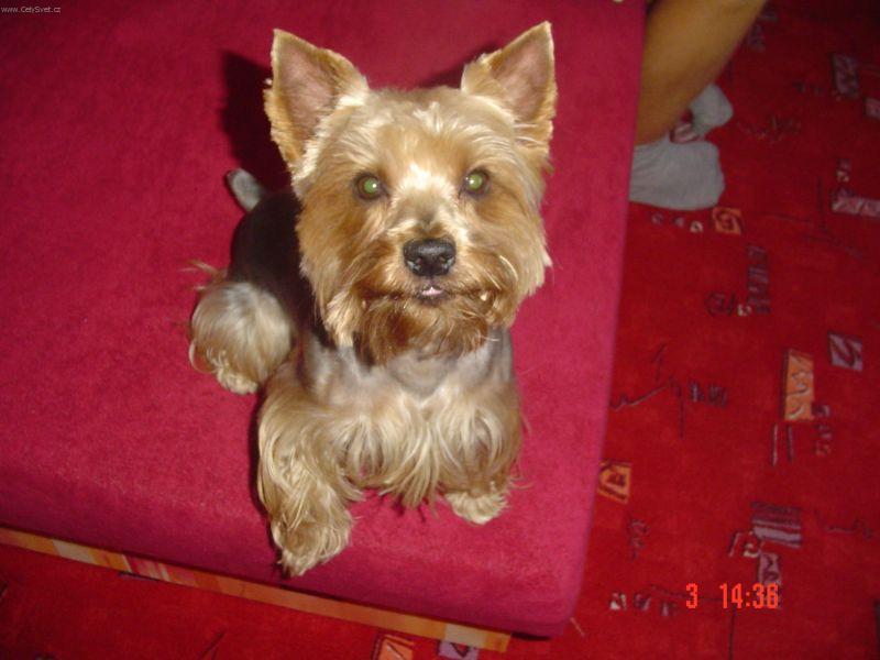 Foto: Kendy-N� mil��ek, kdy� vid� fo��k, mus� b�t na ka�d� fotce