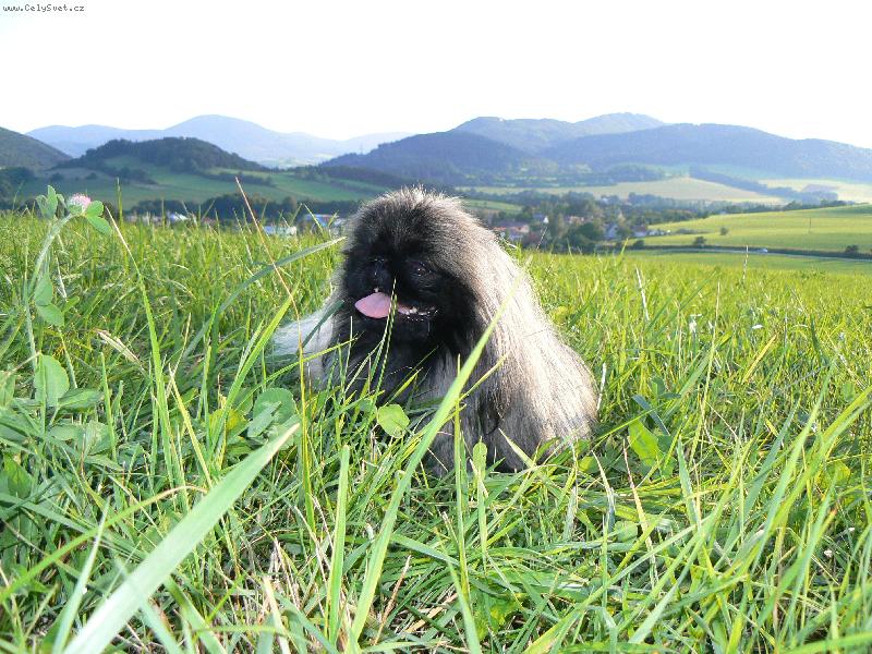 Foto: To je tedy rozhled!!!