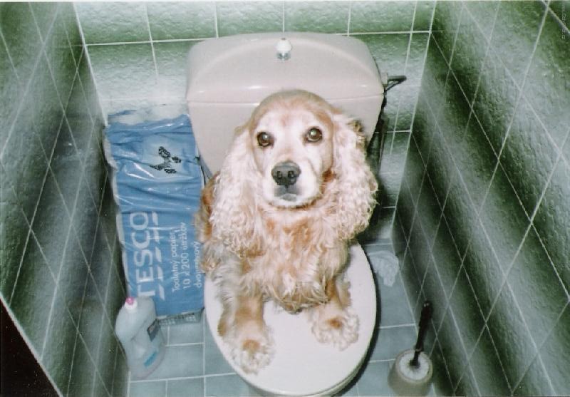 Foto: V�clav na pr�zdnin�ch u babi�ky...