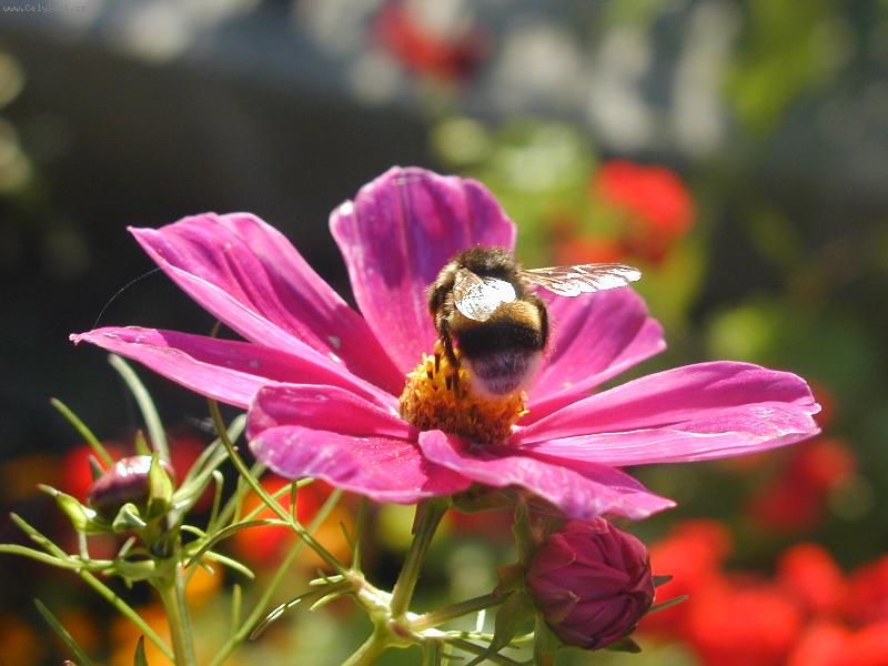 Foto: Pr�ce v z���