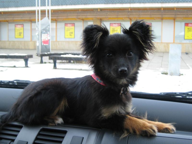 Foto: sle�na Lusy,u��m se ��dit a co m� b�t.