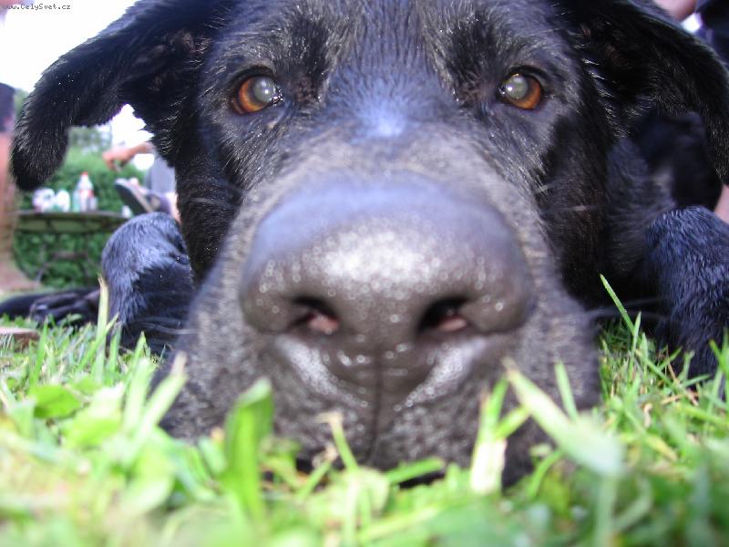 Foto: j� t� sleduju