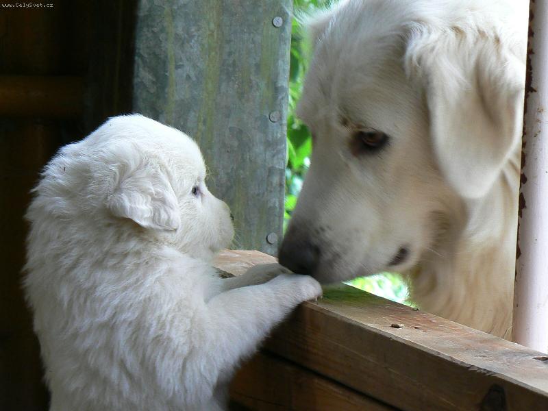 Foto: �uf�k a maminka