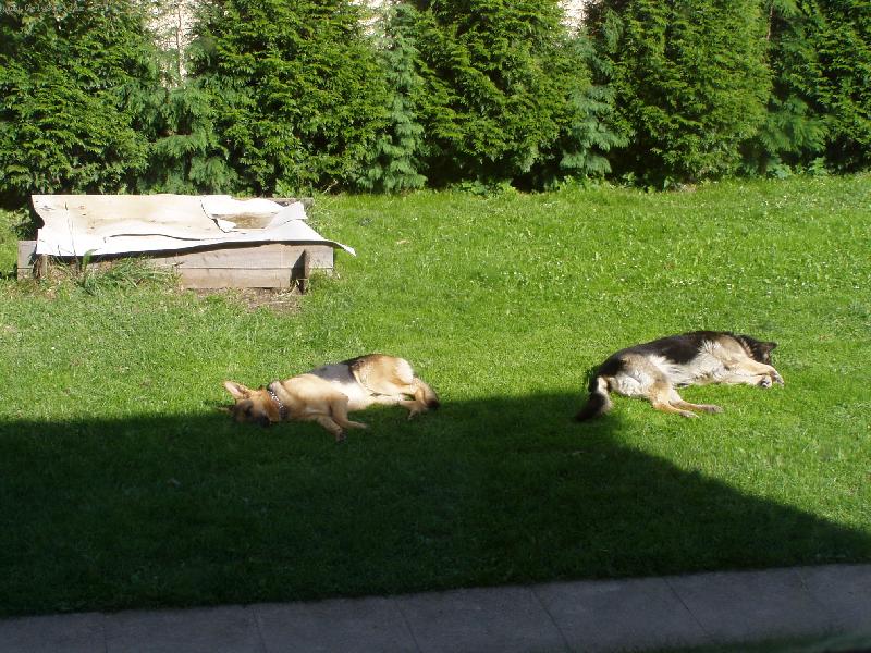 Foto: Opalova�ka-Nen� nad po��dnou opalova�ku