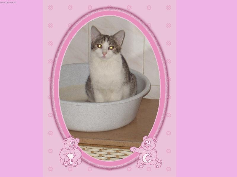 Foto: MICINKA-U� JSEM �IST�