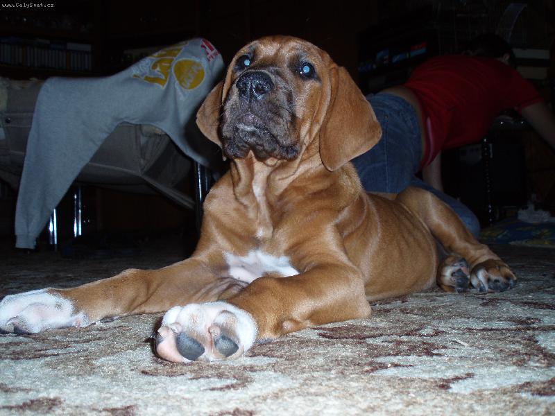 Foto: Destiny-ja vznesena kralovna :o)