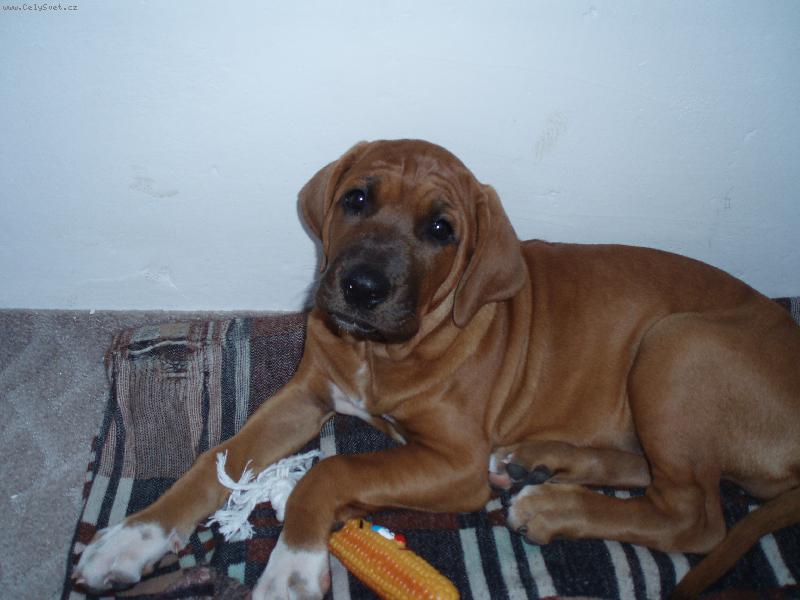 Foto: Destiny-princeznicka :o)