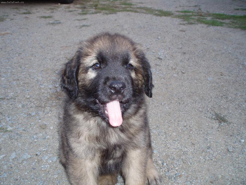 Foto: Lord-bleee blee :o)