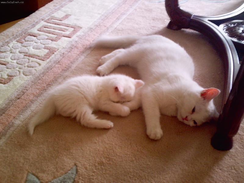 Foto: Chci b�t s tebou-Na�i mil��kov�