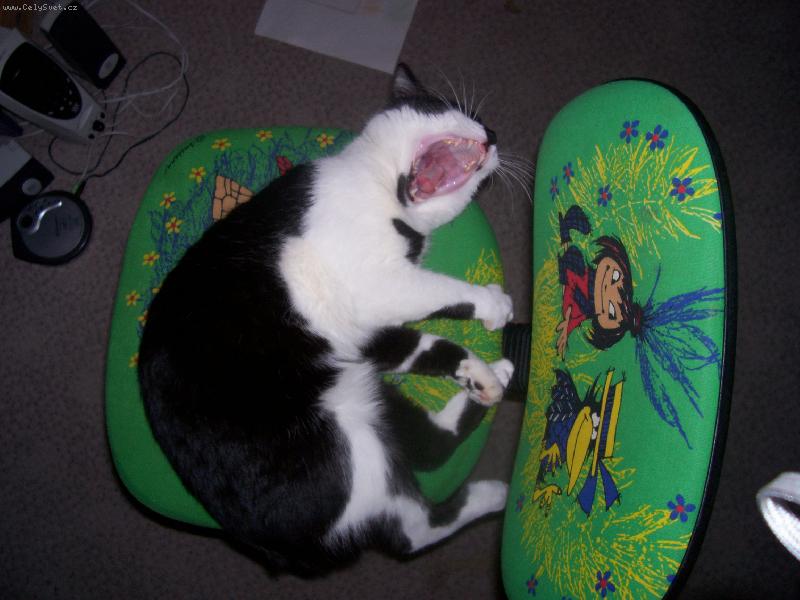 Foto: Bert�k-N� macinek;)